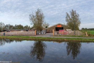 Firma Roest bestaat 100 jaar